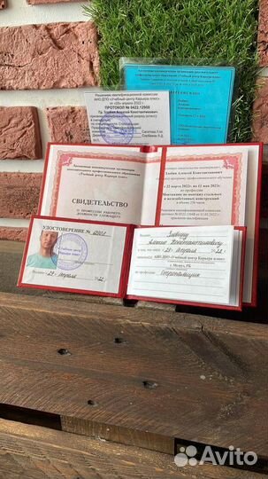 Удостоверение / Свидетельство / Корочки / Обучение