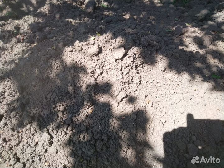 Чернозем Перегной Навоз Грунт для теплиц от 10м,5