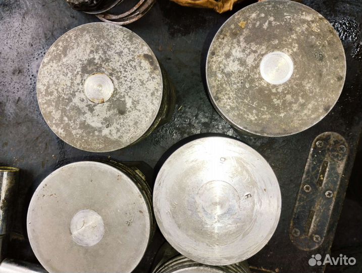 Поршни газ 53