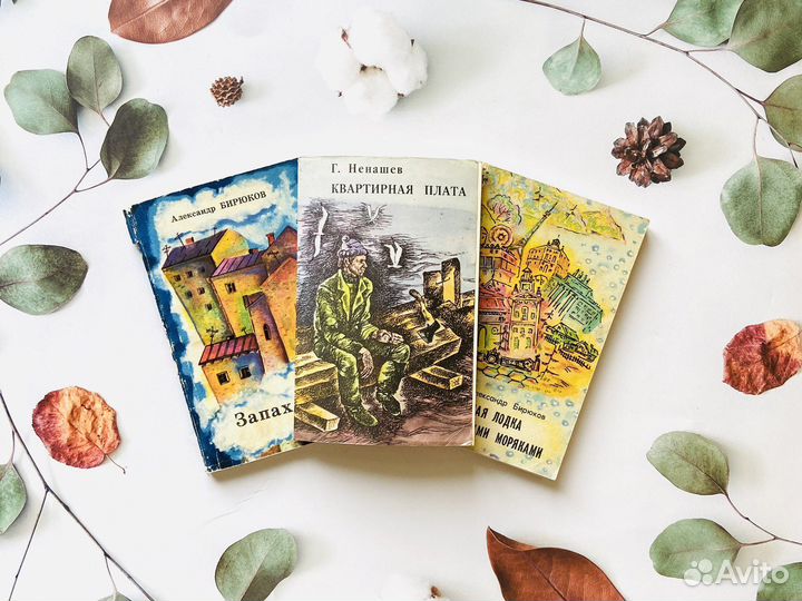 Комплект книг. Г. Ненашев, А. Бирюков