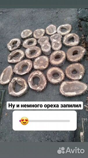 Торцевые спилы деревьев