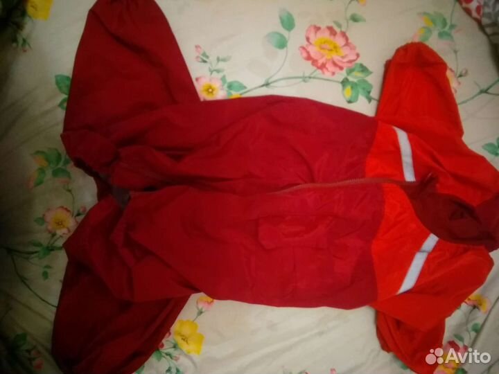 Одежда и обувь для большой собаки