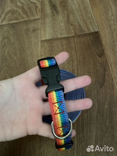 Амуниция для собак