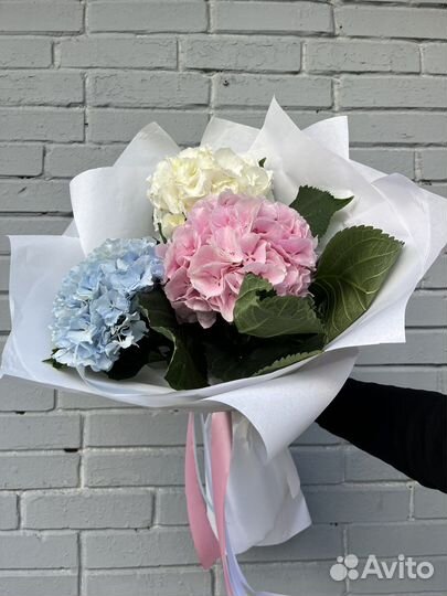 Гортензии букет гортензий цветы доставка