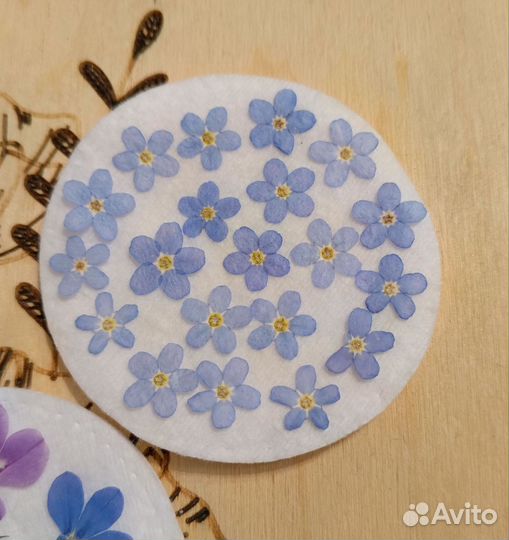 Сухоцветы плоской сушки(лобелия,василек,незабудка)