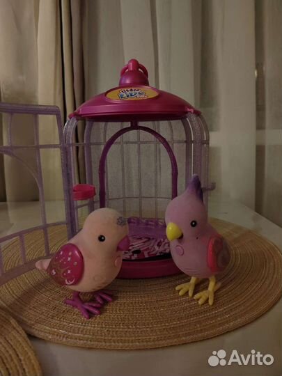Little live pets птички