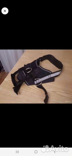 Шлейка для собак