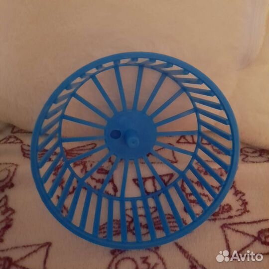 Вещи для хомяка