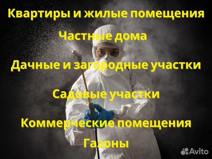 Уничтожение насекомых клопы тараканы