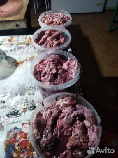 Отходы говяжьи для собак