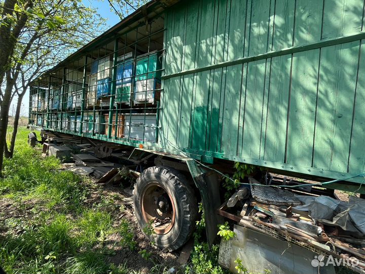 Продается пасека/прицеп,ульи,пчёлы,пчелосемьи