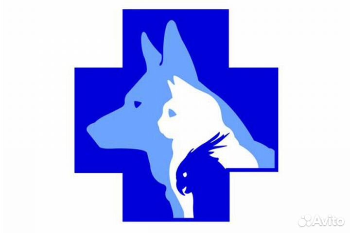 Усыпление животных кошек, собак, (кремация)