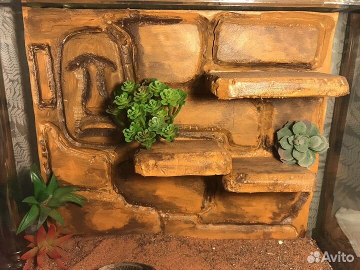 Террариум для рептилий