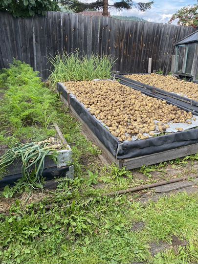 Участок 5 сот. (СНТ, ДНП)