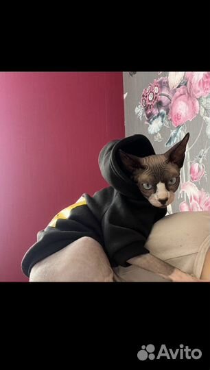 Кофта для собак