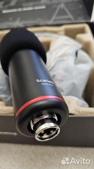 Микрофон Focusrite Scarlett CM25 MK III