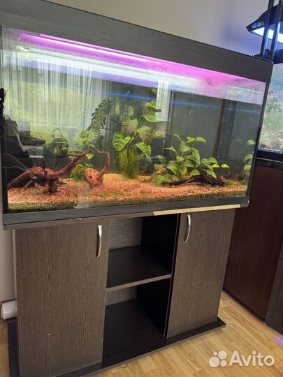 Аквариум с тумбой