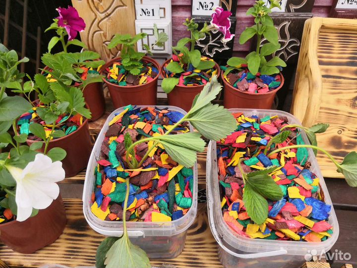 Щепа мульча. Щепа древесная из лиственных пород