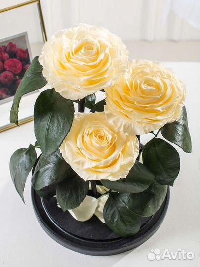 Роза в колбе оптом