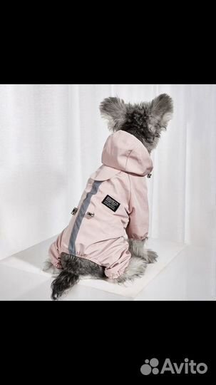 Комбинезон для собаки