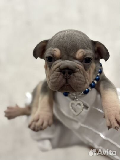 Бигроп мальчик и девока