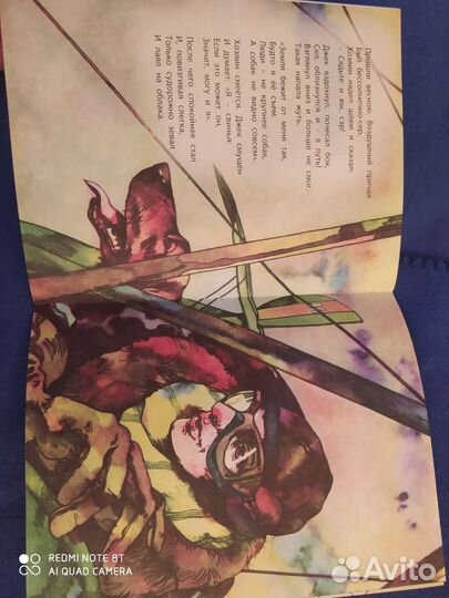 Книга Сеттер Джек. Вера Инберг