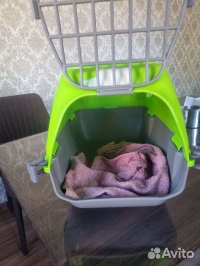 Переноска для кошек в самолет (В аренду)