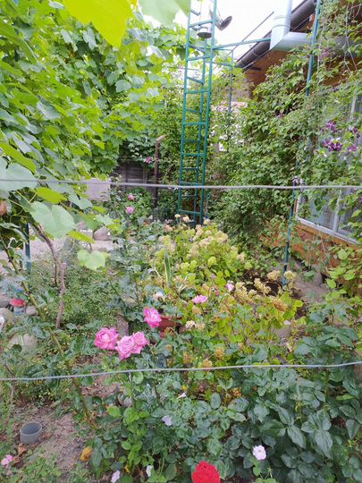 Дом 100 м² на участке 7 сот.