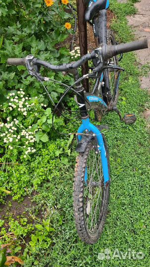 Велосипед forward Dakota