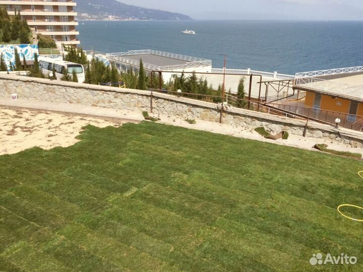 Рулонный газон от производителя