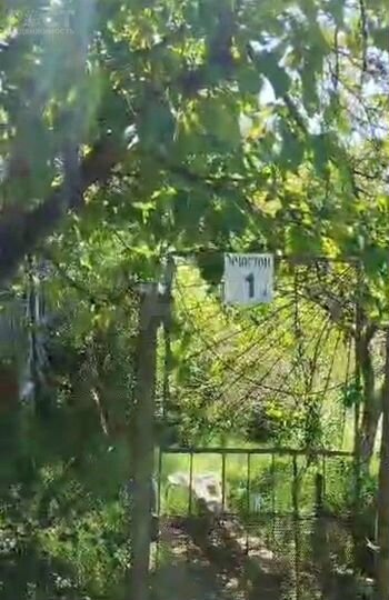 Участок 6 сот. (СНТ, ДНП)