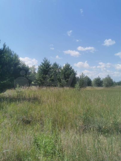 Участок 15 сот. (ИЖС)