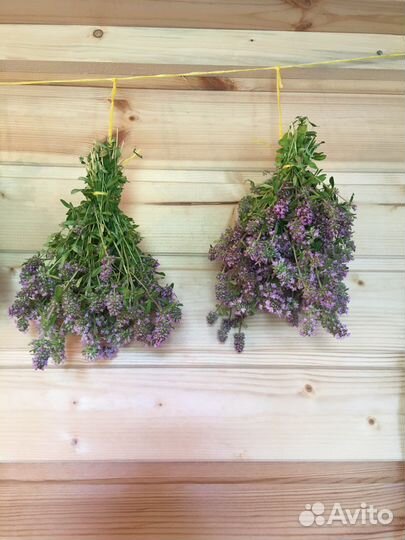 Тимьян (чебрец)