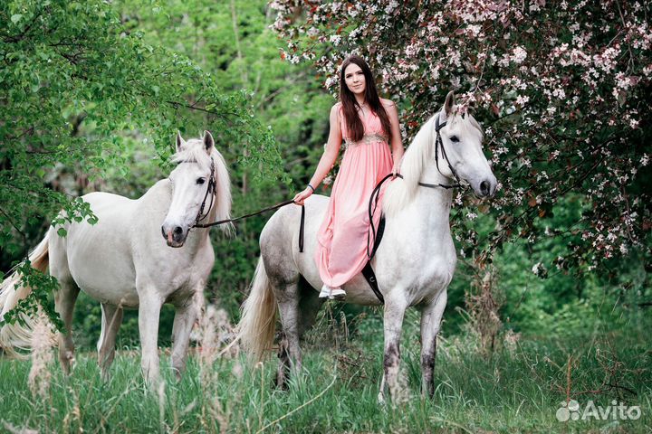 Фотограф / Фотосессия с лошадьми
