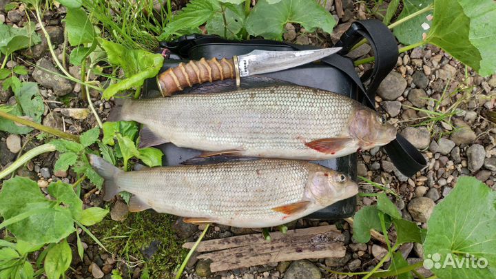 Мушки на хариуса. Мухи, нимфы, мормышки, наборы