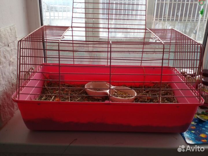Клетка для грызунов большая