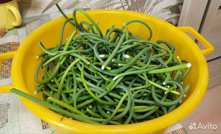 Чесночные стрелки