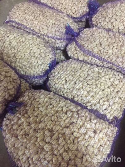 Чеснок (свежий) очищенный