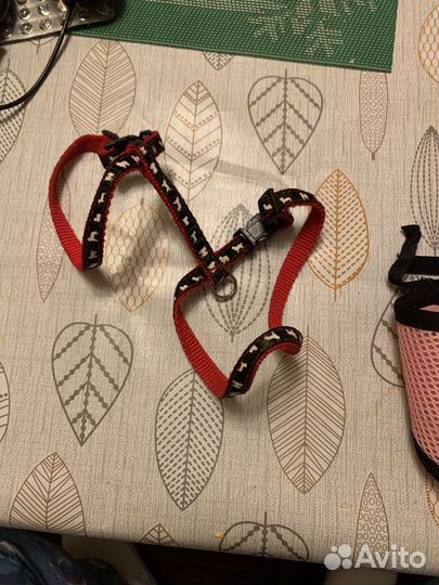 Шлейки для мелких собак