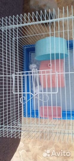 Клетка для грызунов