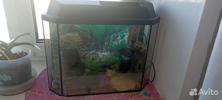 Украшение для аквариума