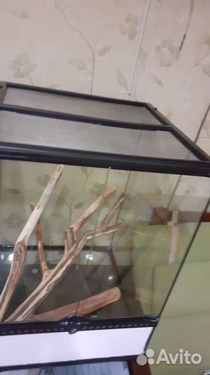 Террариум большой