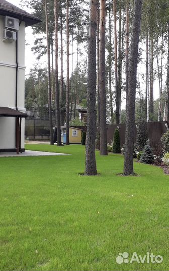 Садовник Консультации по саду. Обучение