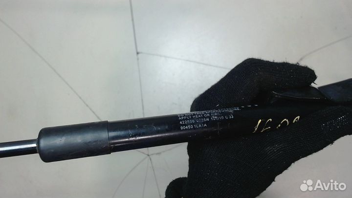 Амортизатор крышки багажника Infiniti QX56, 2011