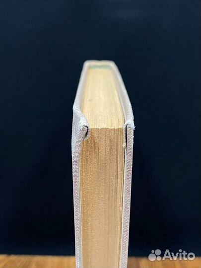 Где ты был, Адам