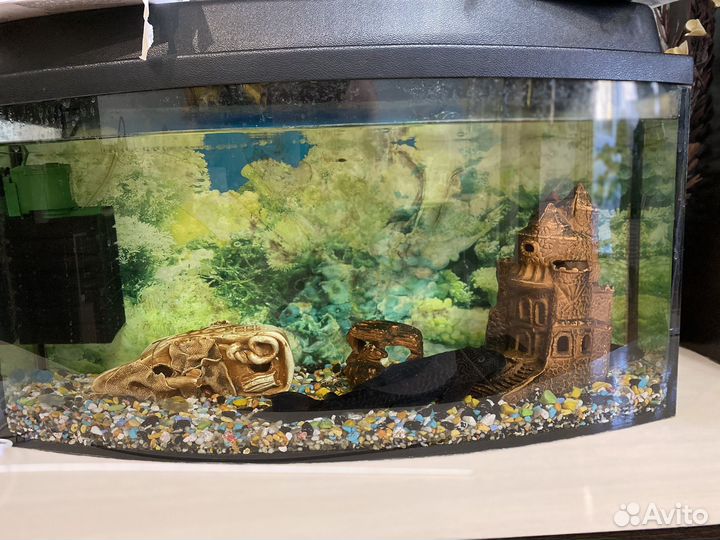 Аквариум