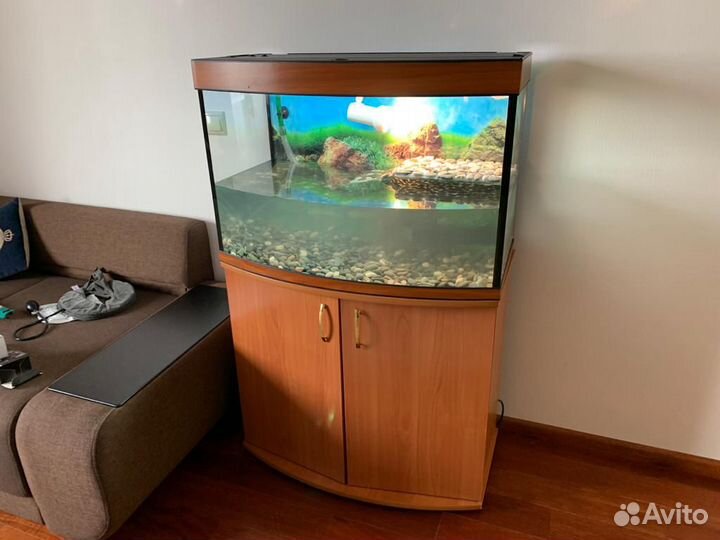 Аквариумы для черепах панорамные