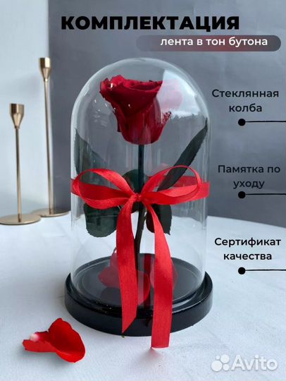 Роза в колбе