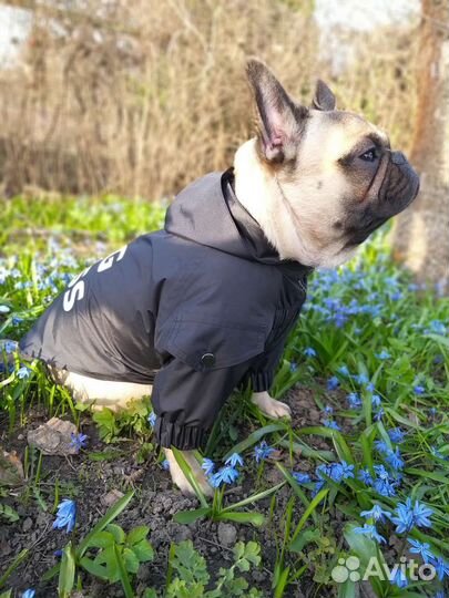 Куртка-дождевик для собак