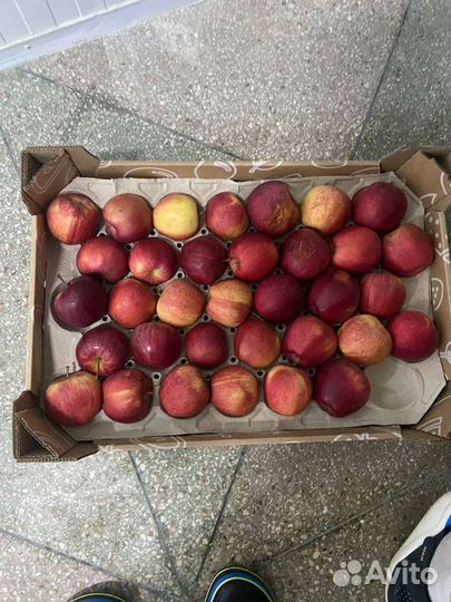 Яблоки для переработки